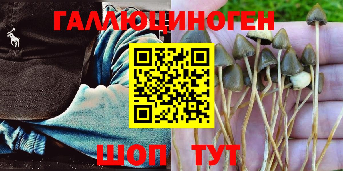 Галлюциногенные грибы мицелий Волгодонск