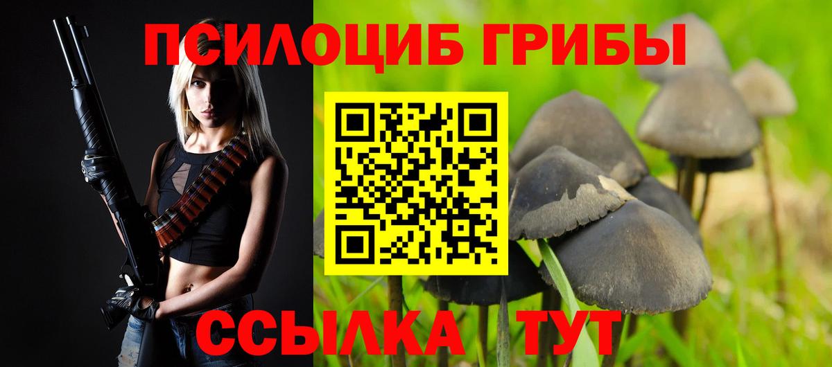 Псилоцибиновые грибы Cubensis  Вход с VPN  Волгодонск  Галлюциногенные грибы мухоморы 