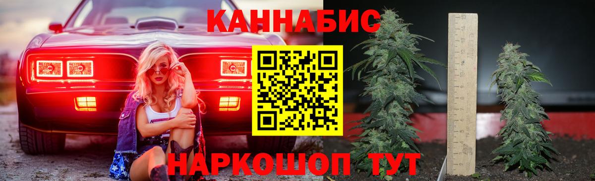 Каннабис план Волгодонск