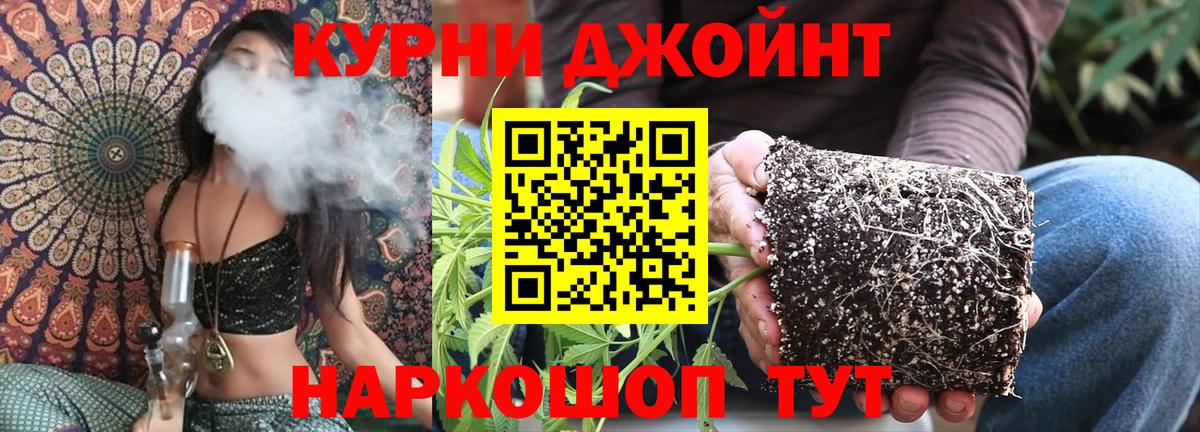 Бошки Шишки планчик  Каннабис планчик  Волгодонск  Вход с VPN 